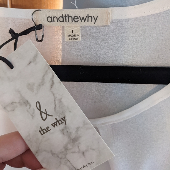 NWT andthewhy Lace Embroidered Sleeves White Sheer Top SZ Large Very 😍 - Picture 2 of 8